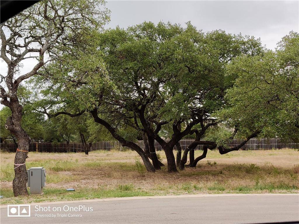 410 Whisenant LN, Dripping Springs, TX 78620