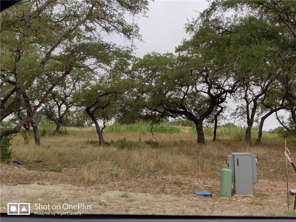 410 Whisenant LN, Dripping Springs, TX 78620