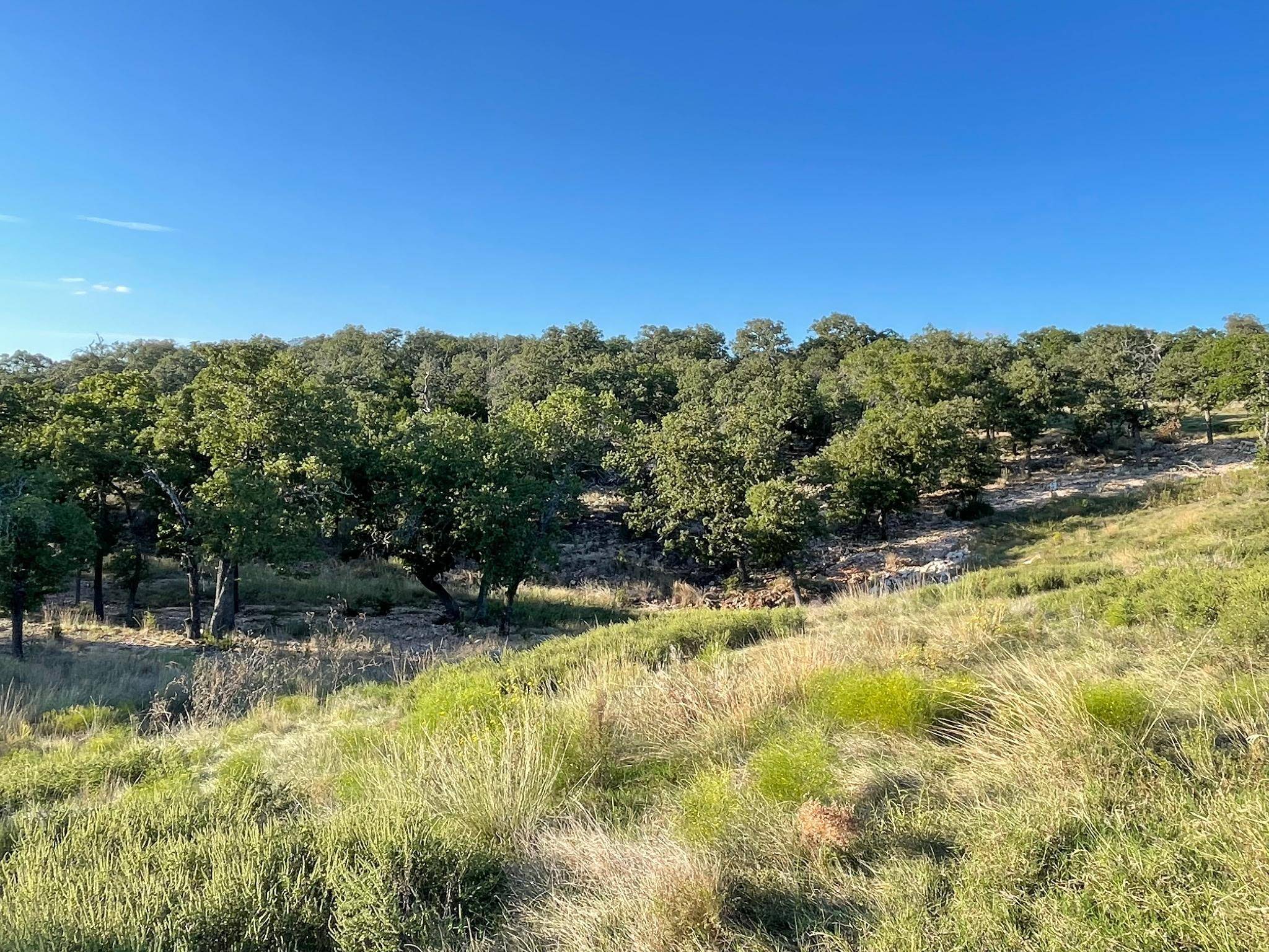 Address not disclosed, San Saba, TX 76877