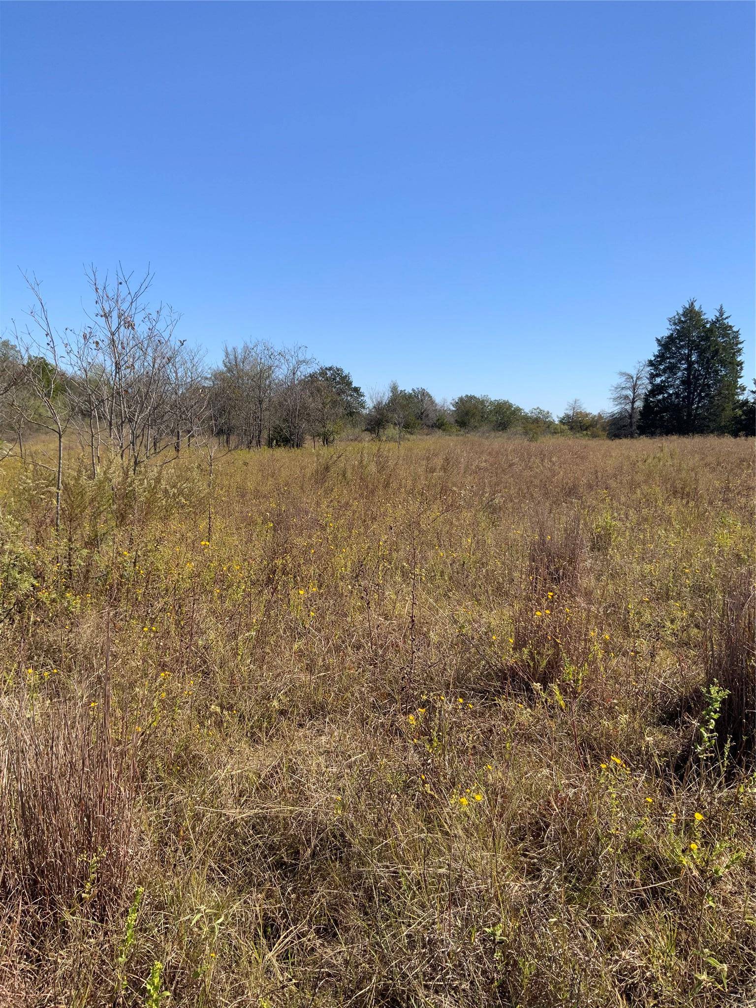 000 County Road 304, Lexington, TX 78947
