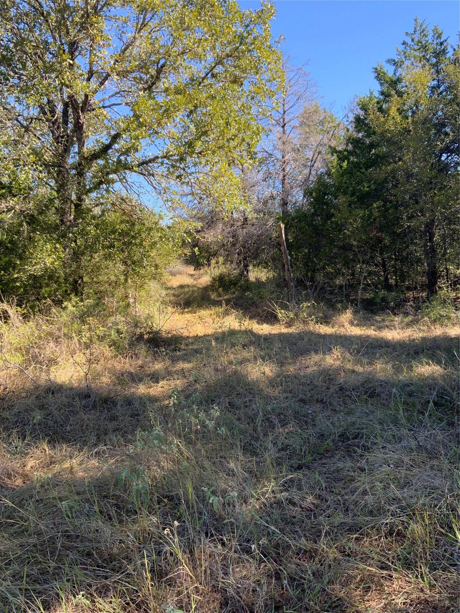 000 County Road 304, Lexington, TX 78947