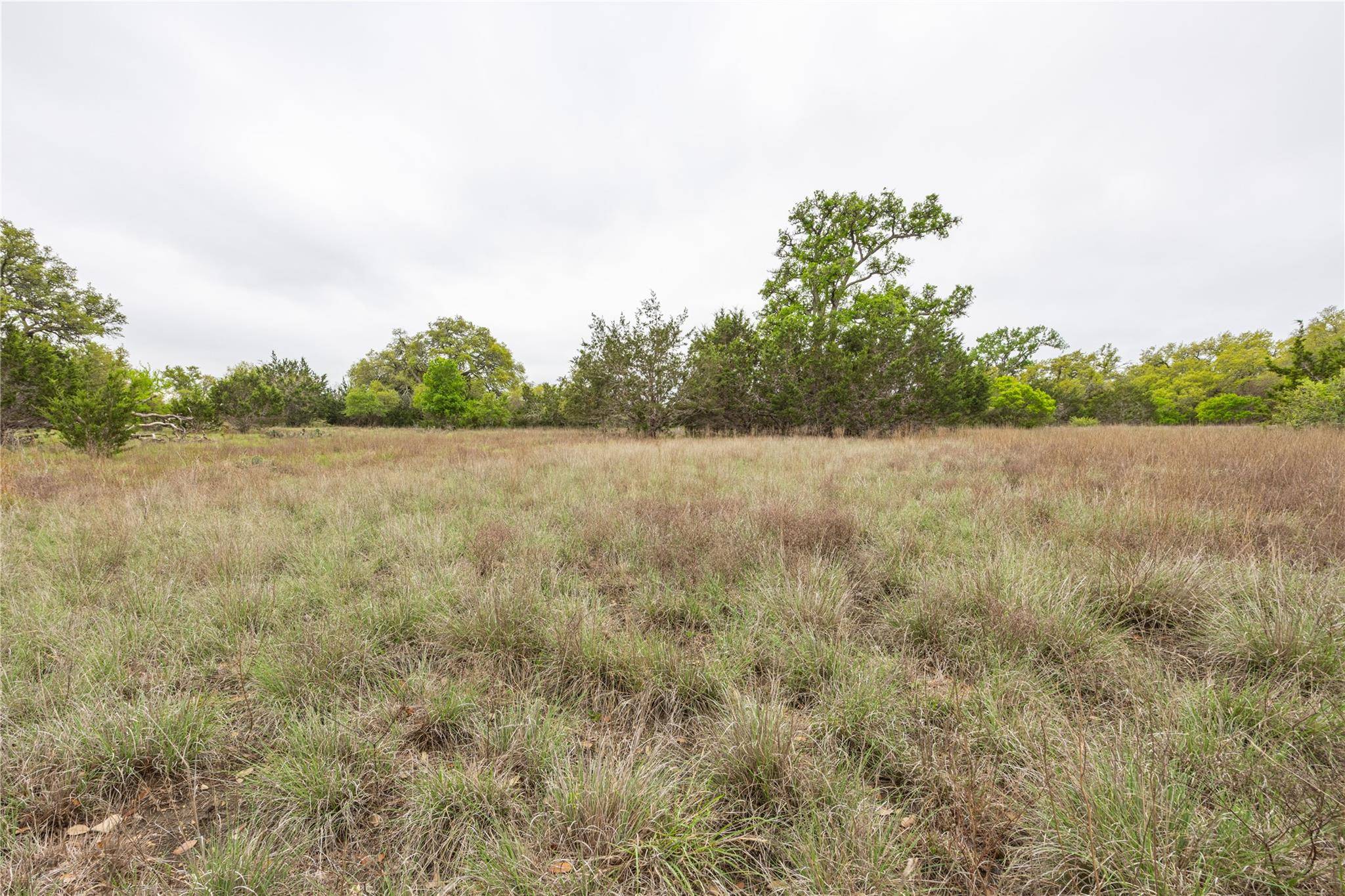 TBD Logan's WAY, Blanco, TX 78606