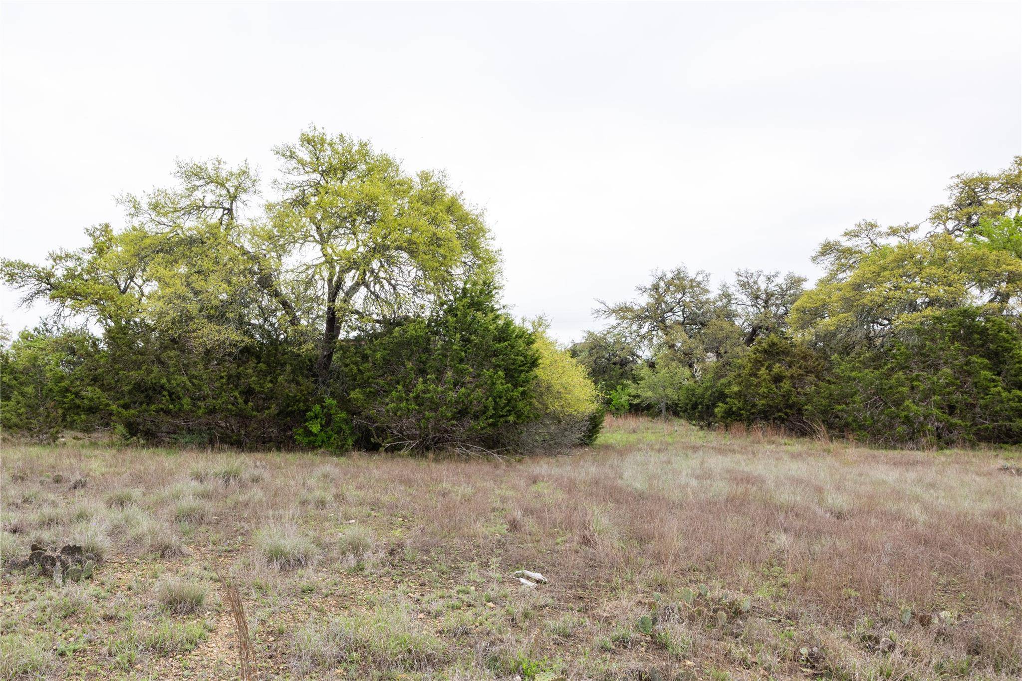 TBD Logan's WAY, Blanco, TX 78606