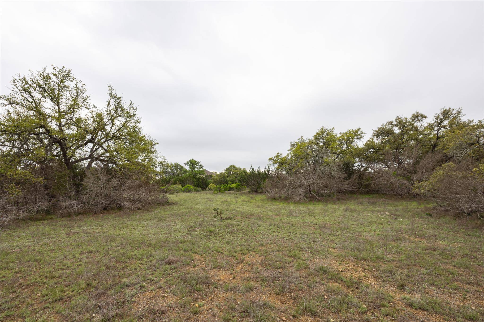 TBD Logan's WAY, Blanco, TX 78606