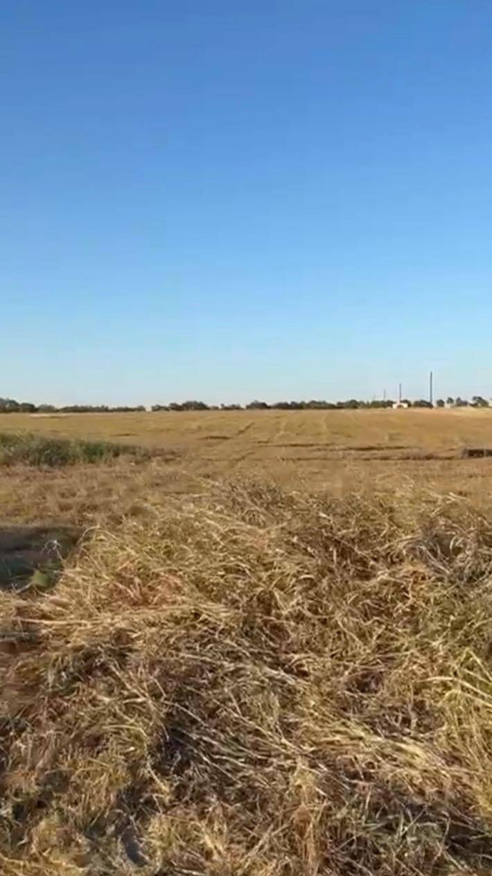 TBD County Road 133 CTR #Lot 6, Ben Arnold, TX 76519