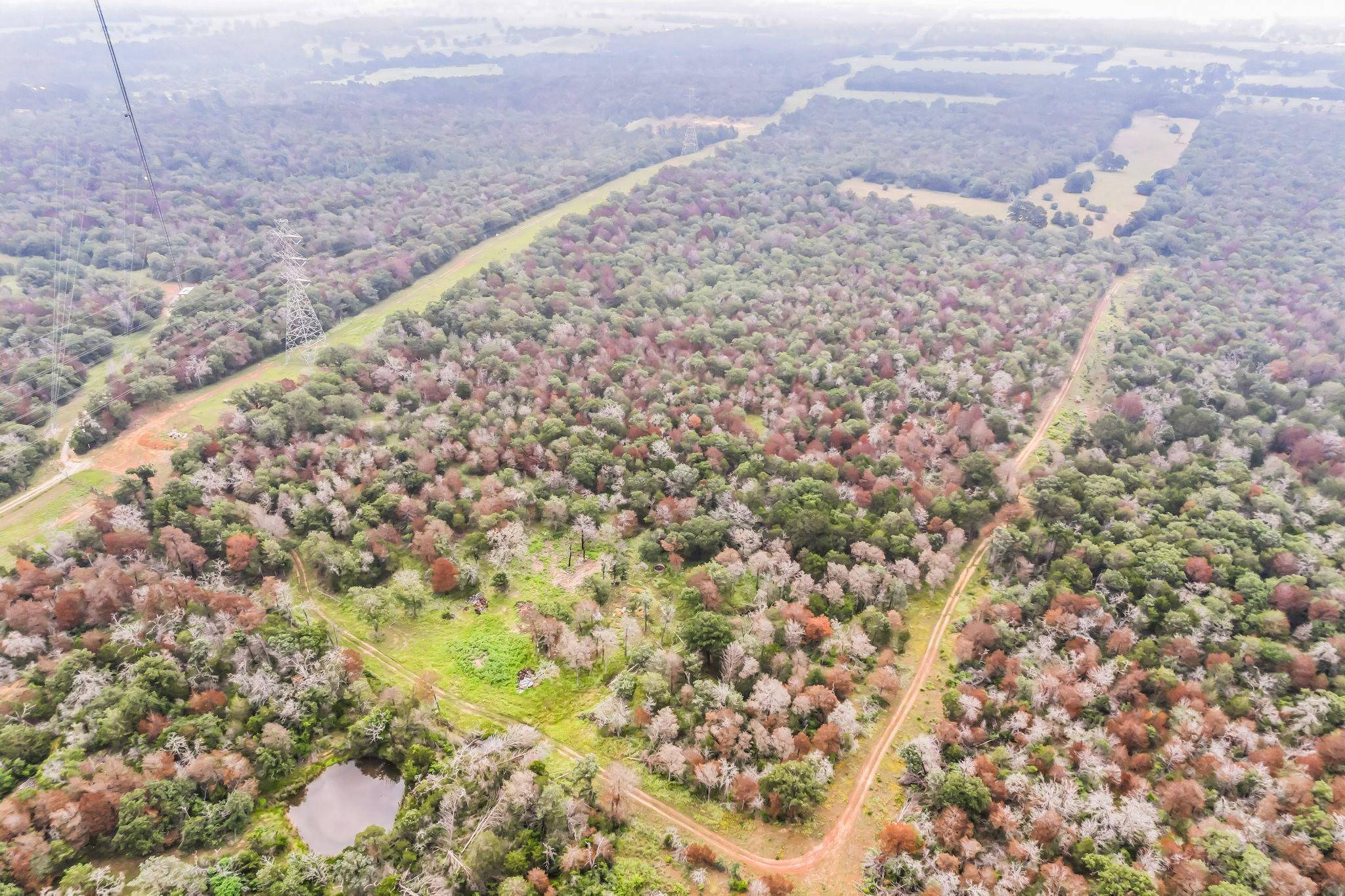 1360 Sand Hills RD #A, Red Rock, TX 78662