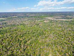 TBD High Grove RD, Cedar Creek, TX 78612