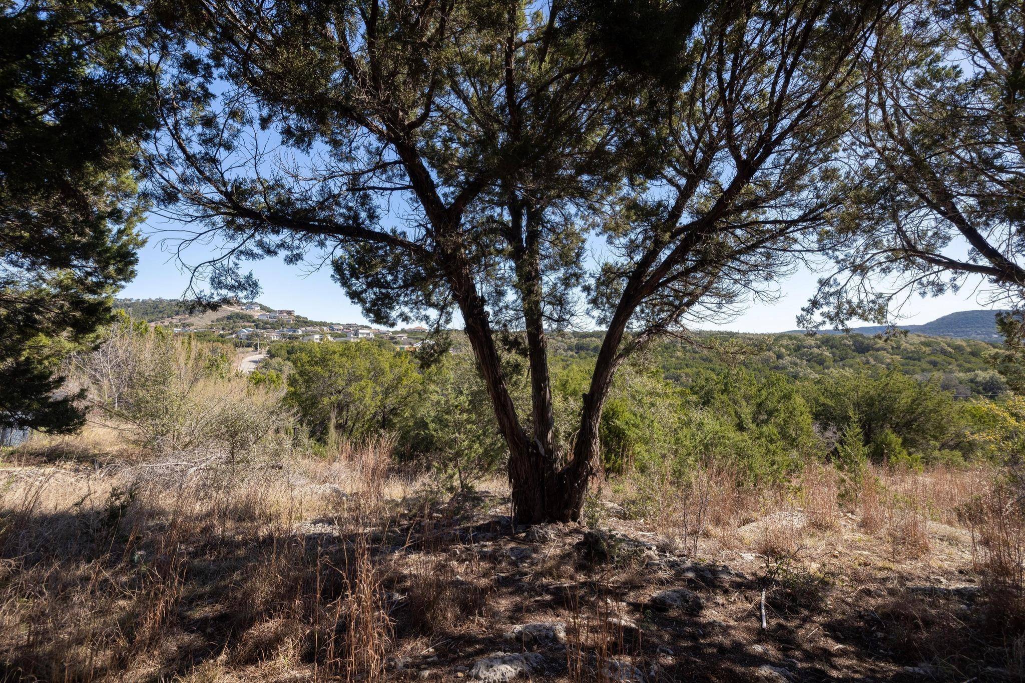 8209 Moon Rise TRL, Jonestown, TX 78645