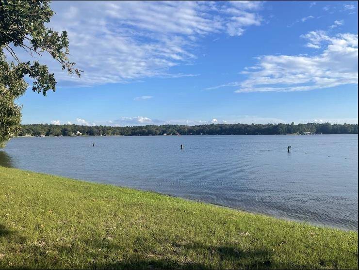 TBD Timber Grove, Murchison, TX 75778
