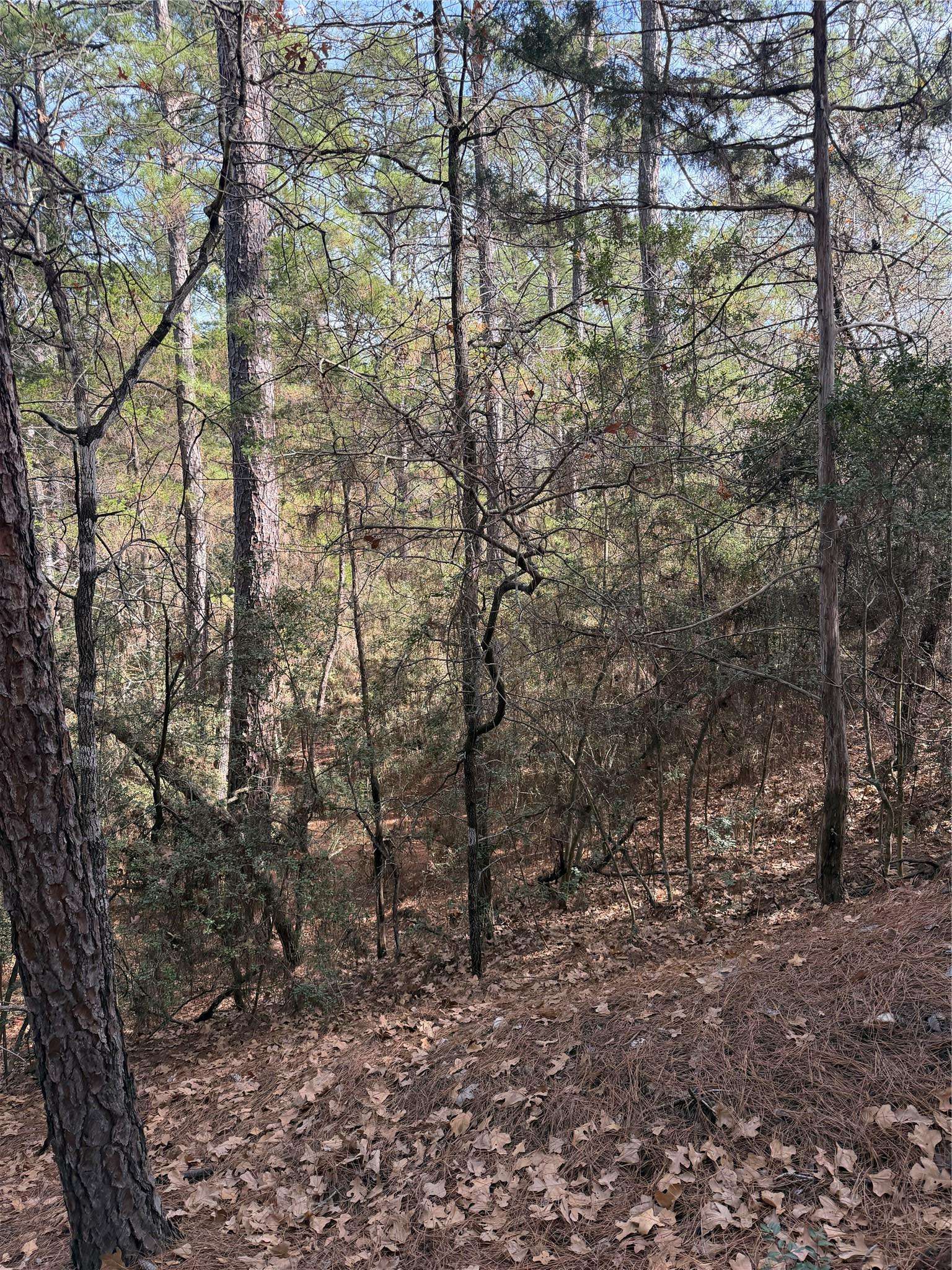 Lot 266 Wainee DR, Bastrop, TX 78602
