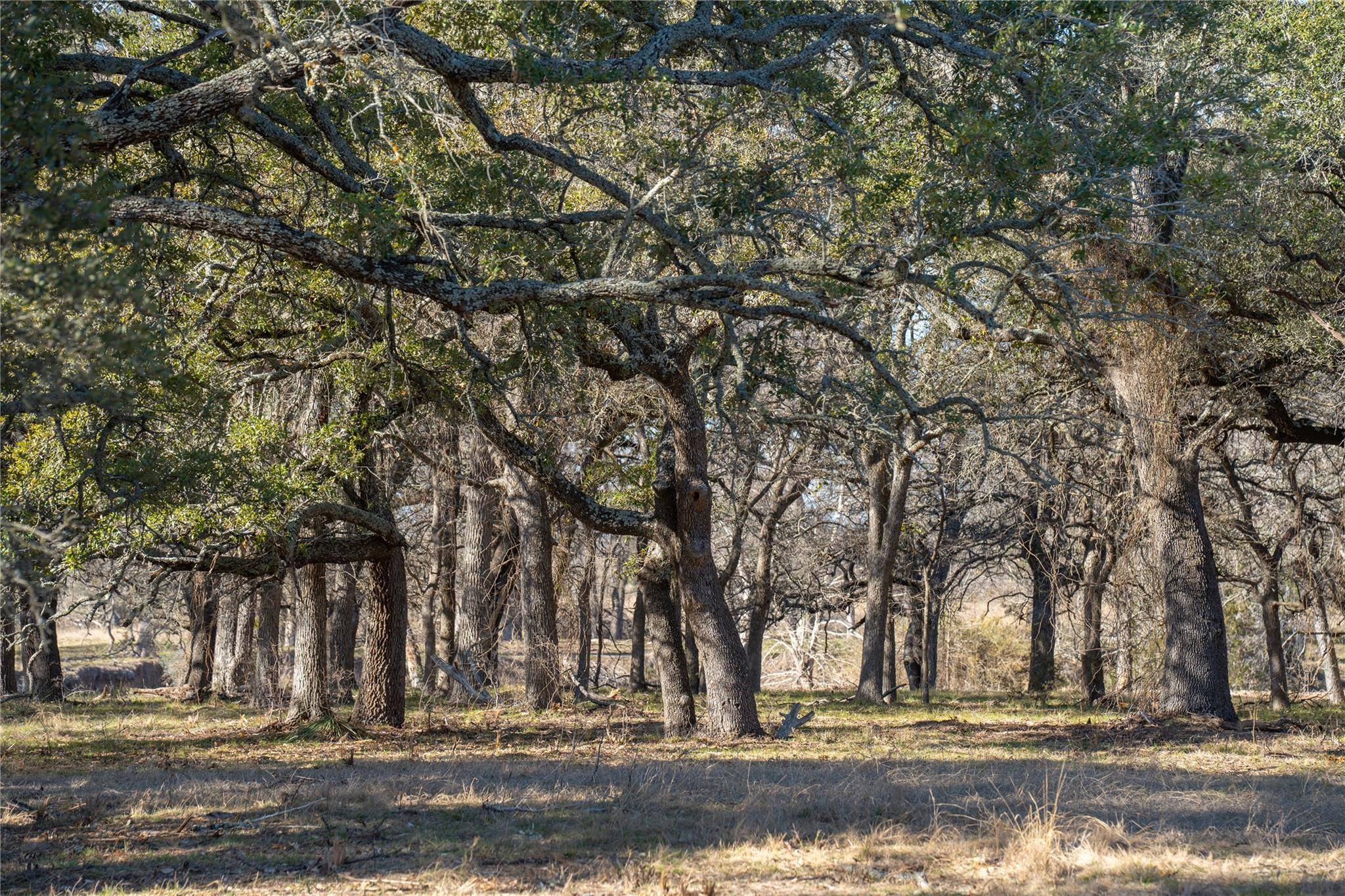 TBD US 190 HWY, Lometa, TX 76853