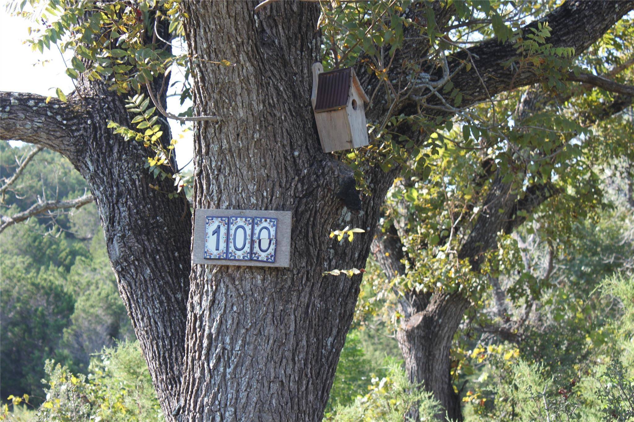 Lot 100 Saddle Ridge DR, Bertram, TX 78605