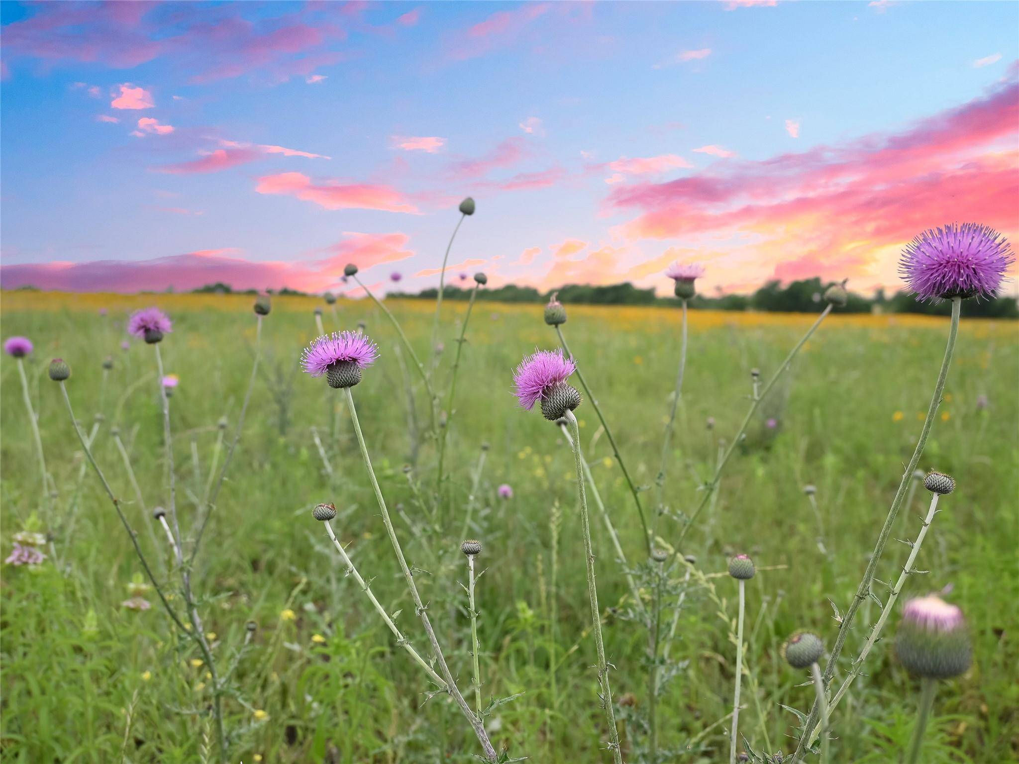 1515 County Road 315, Jarrell, TX 76537