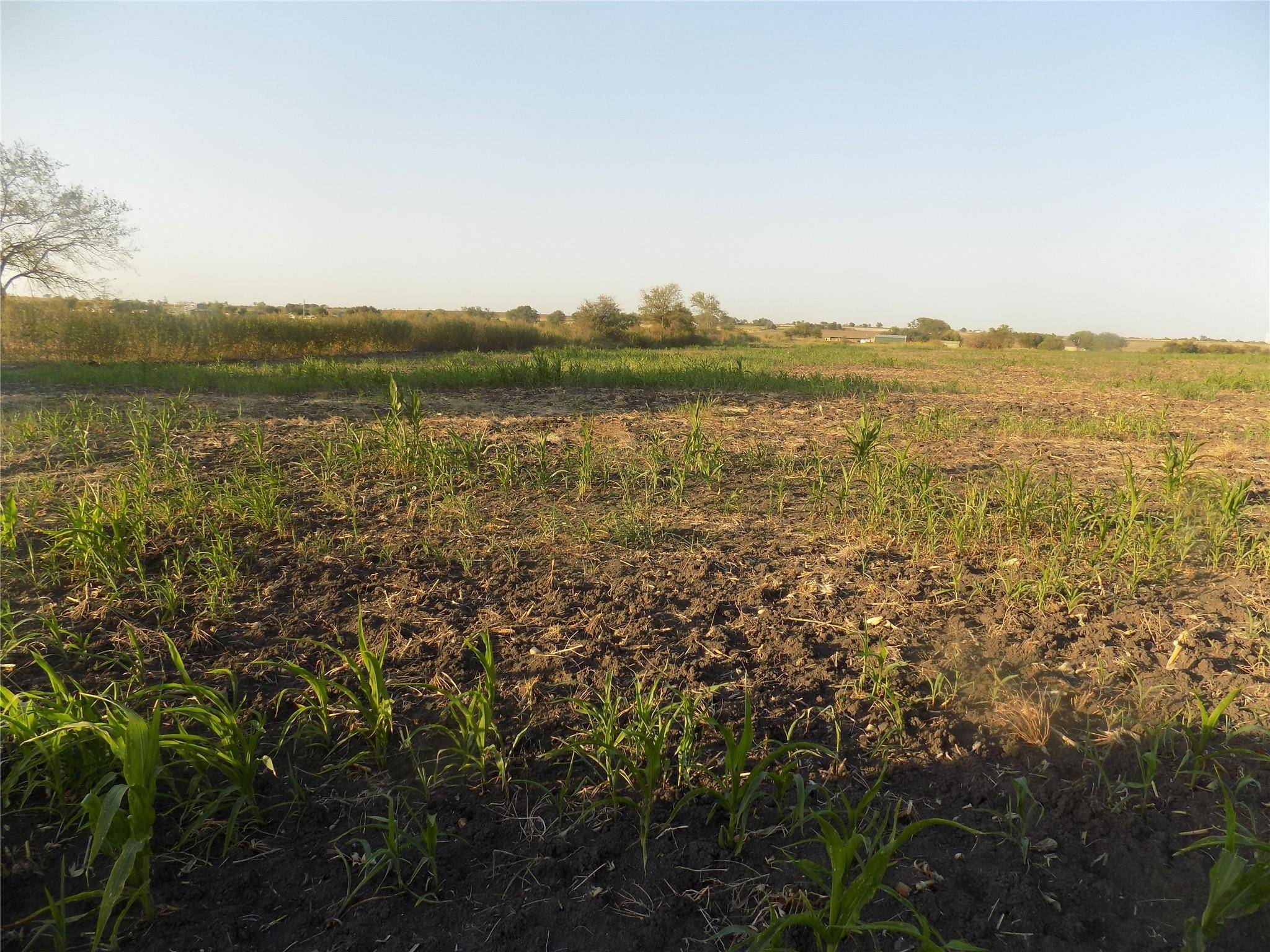 0 Krause RD, Holland, TX 76534