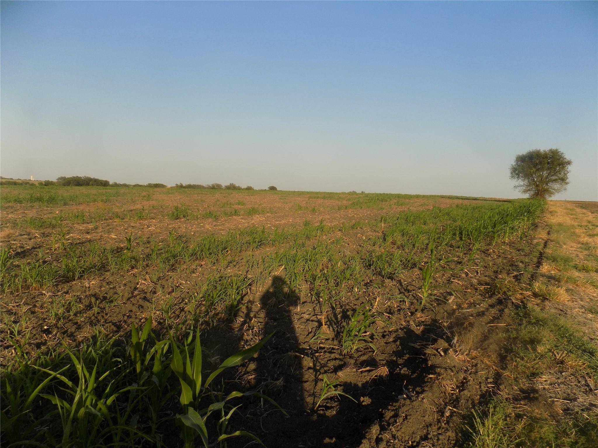 0 Krause RD, Holland, TX 76534