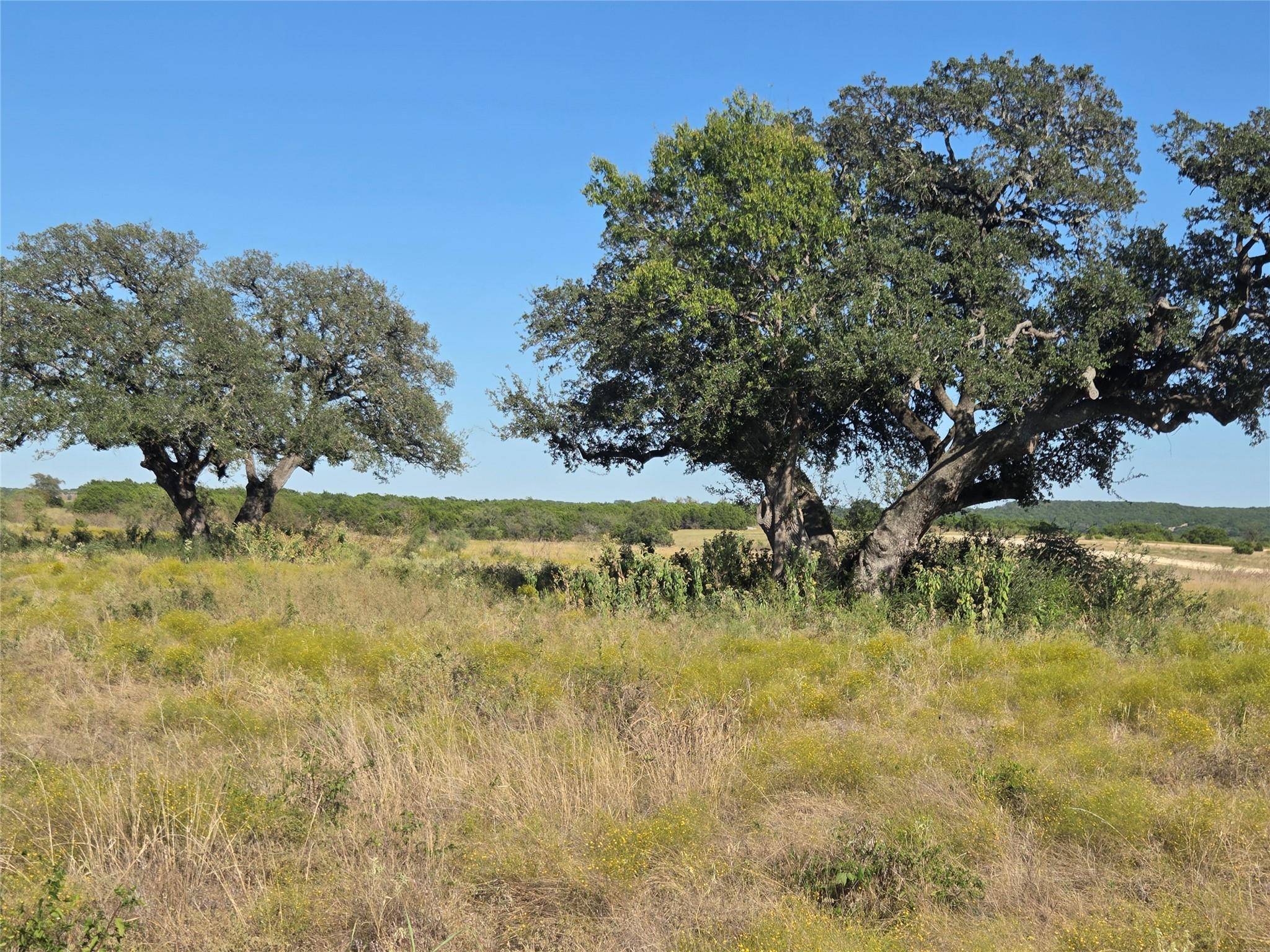 280 Waterbuck WAY, Gatesville, TX 76538