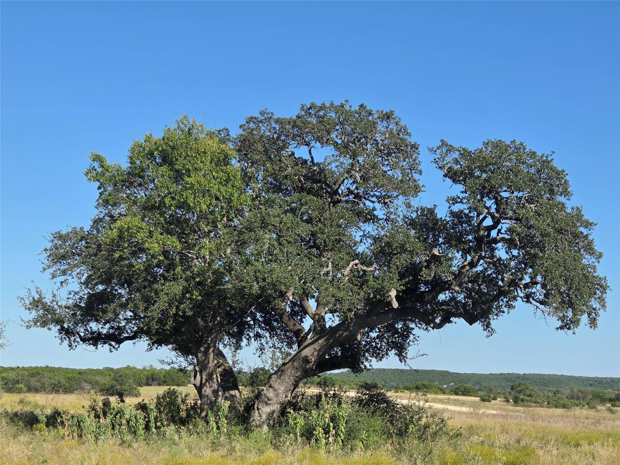 280 Waterbuck WAY, Gatesville, TX 76538