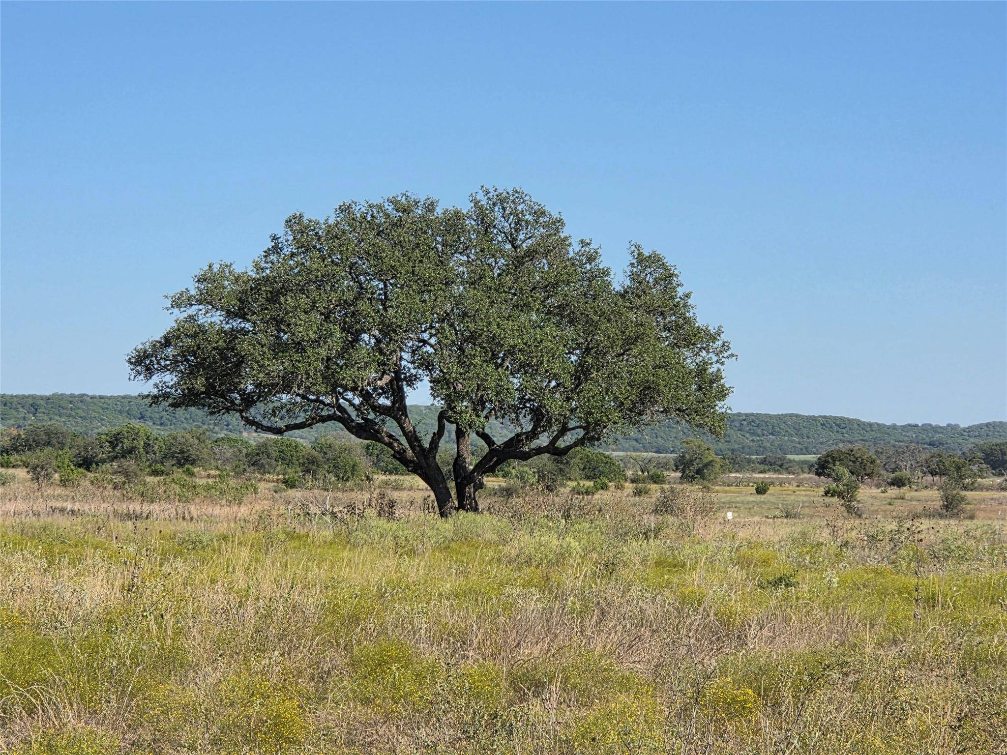 280 Waterbuck WAY, Gatesville, TX 76538