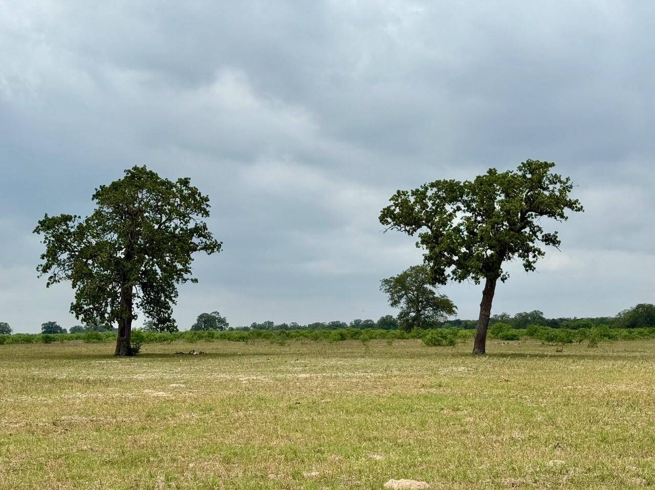 3 Big Sky Ranch RD, Smithville, TX 78957