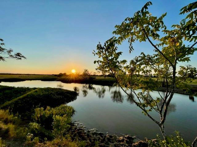 TBD CR 358, Gause, TX 77857
