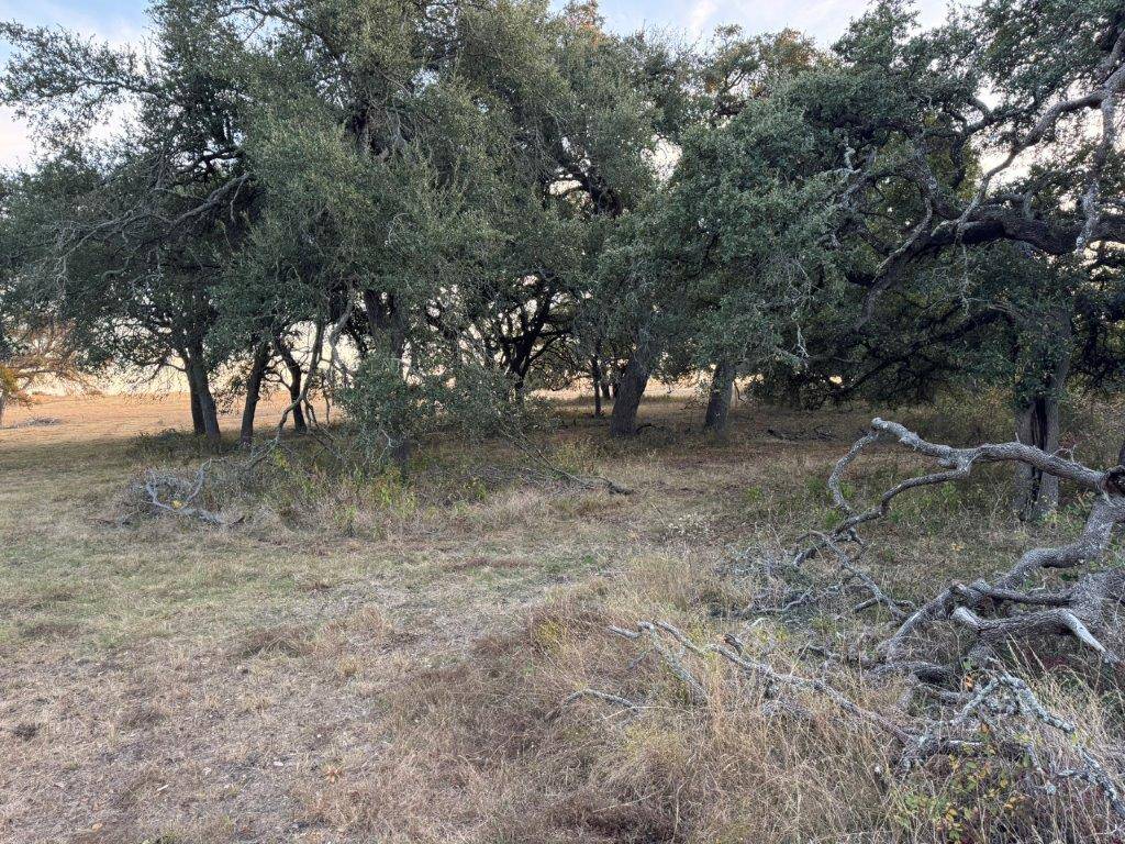 TBD Fm-1105, Georgetown, TX 78626