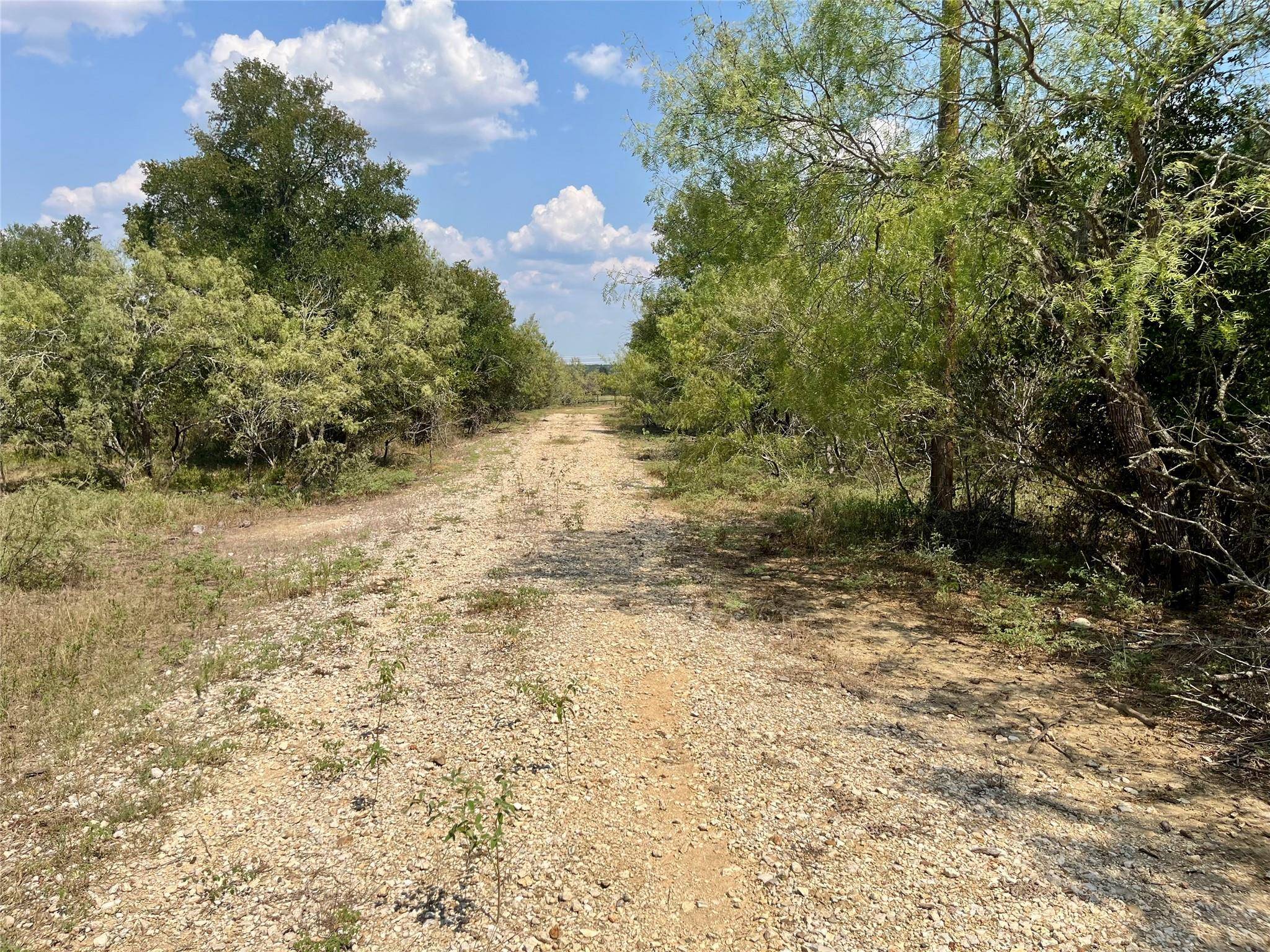 312 Blue Flame RD, Cedar Creek, TX 78612