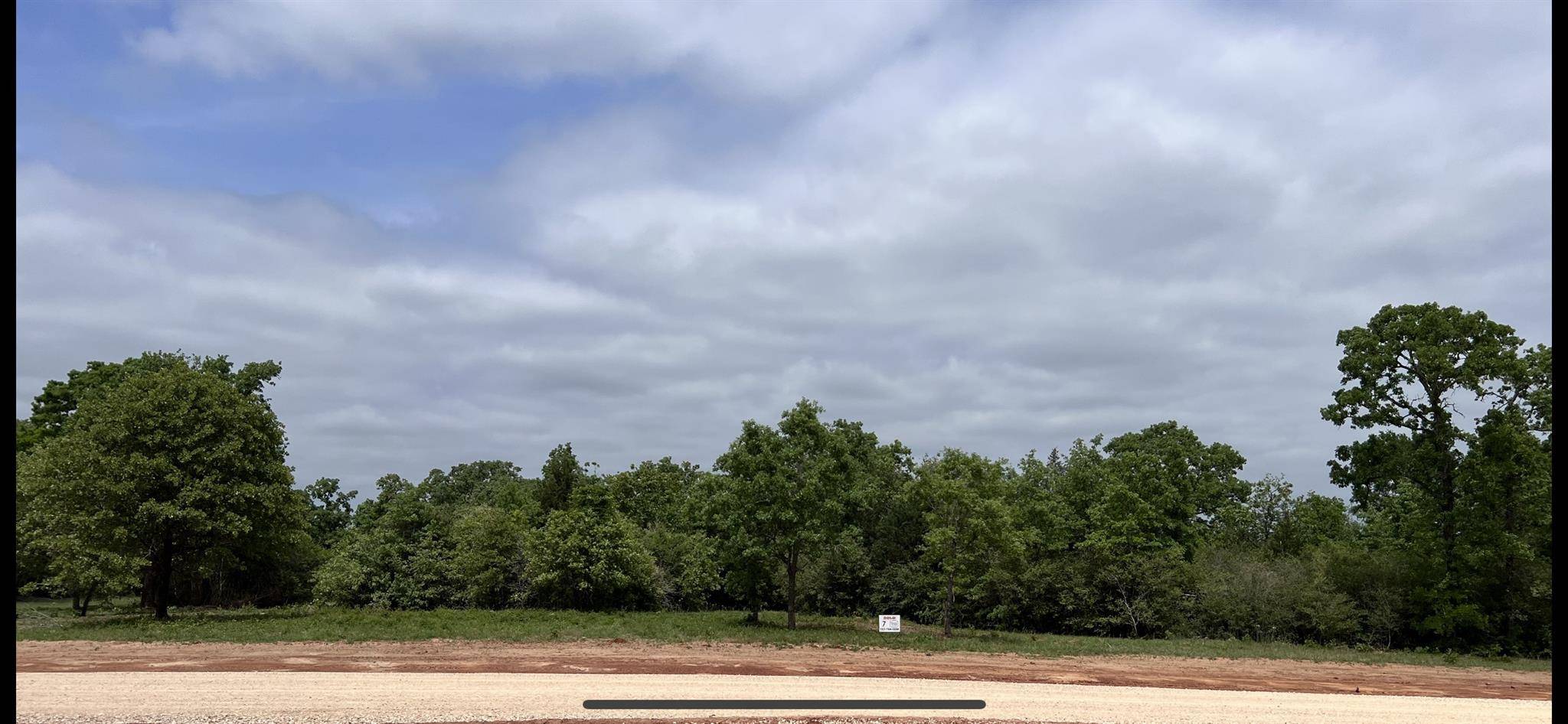 1304 Walleye Creek Trail ST, Lexington, TX 78947