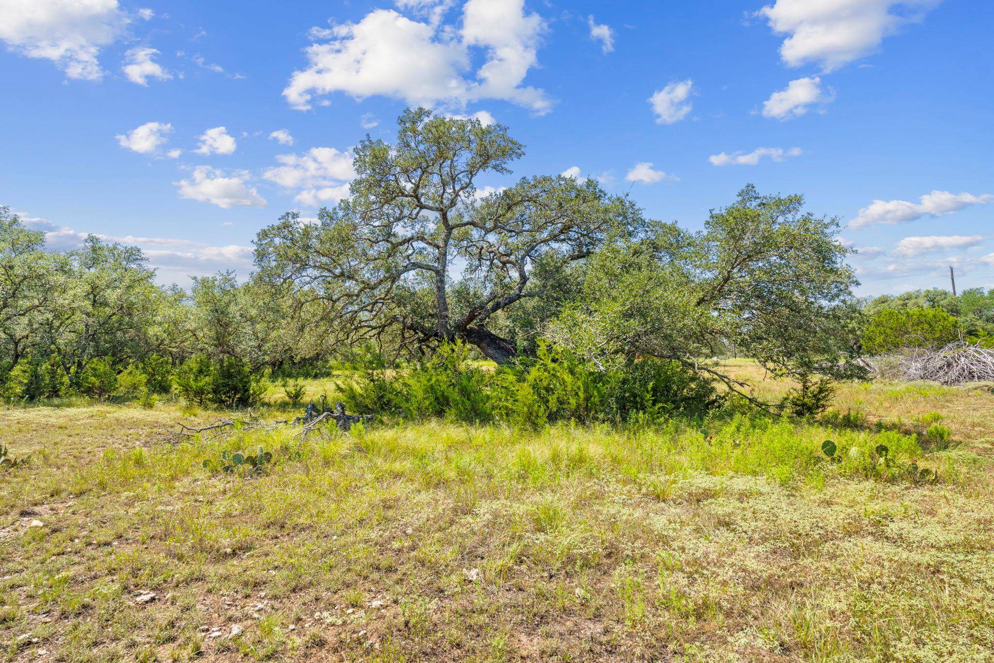 Lot 170 Heartleaf DR, Lampasas, TX 76550