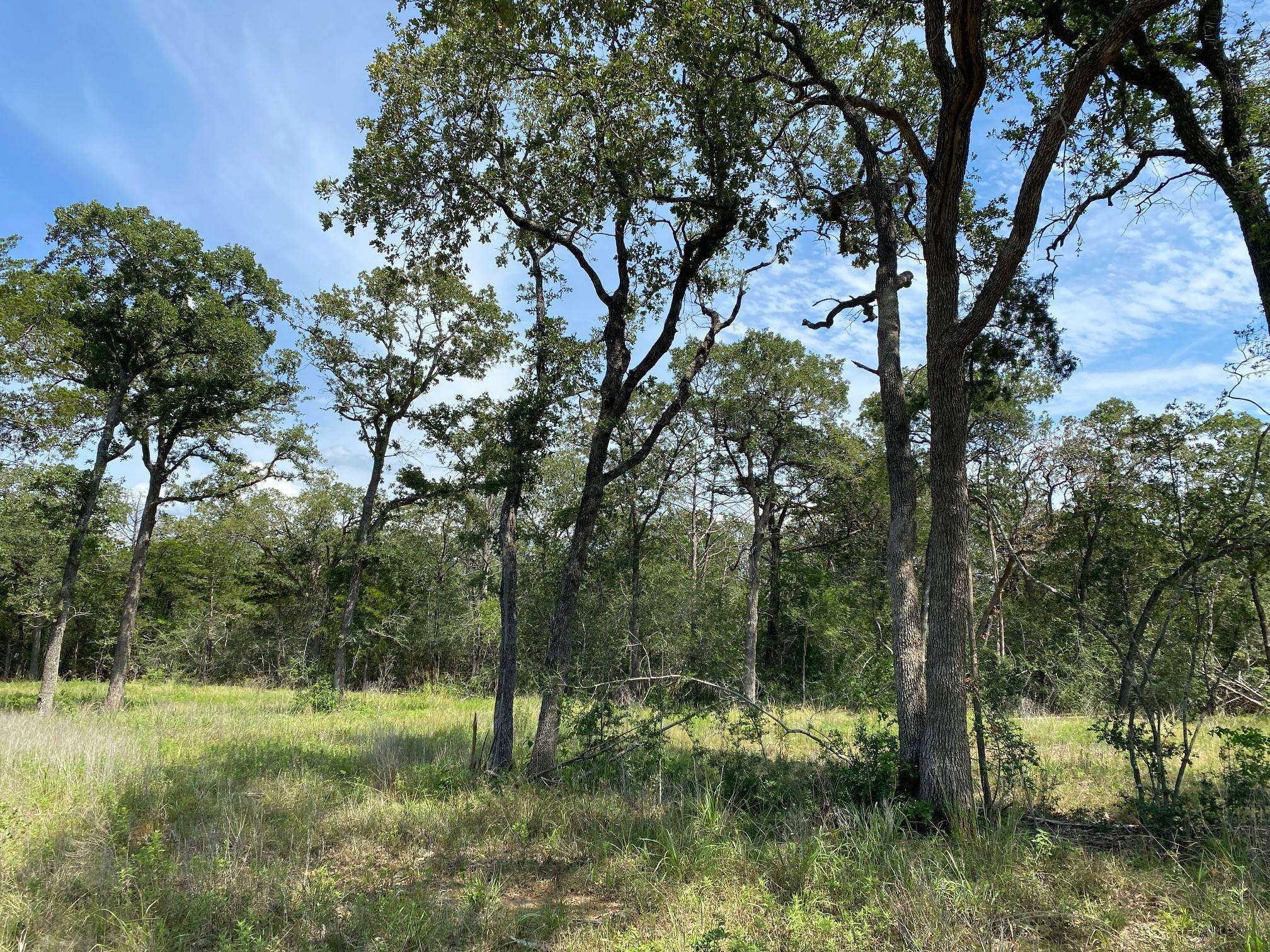 TBD High Crossing Rd - TRACT 8, Smithville, TX 78957