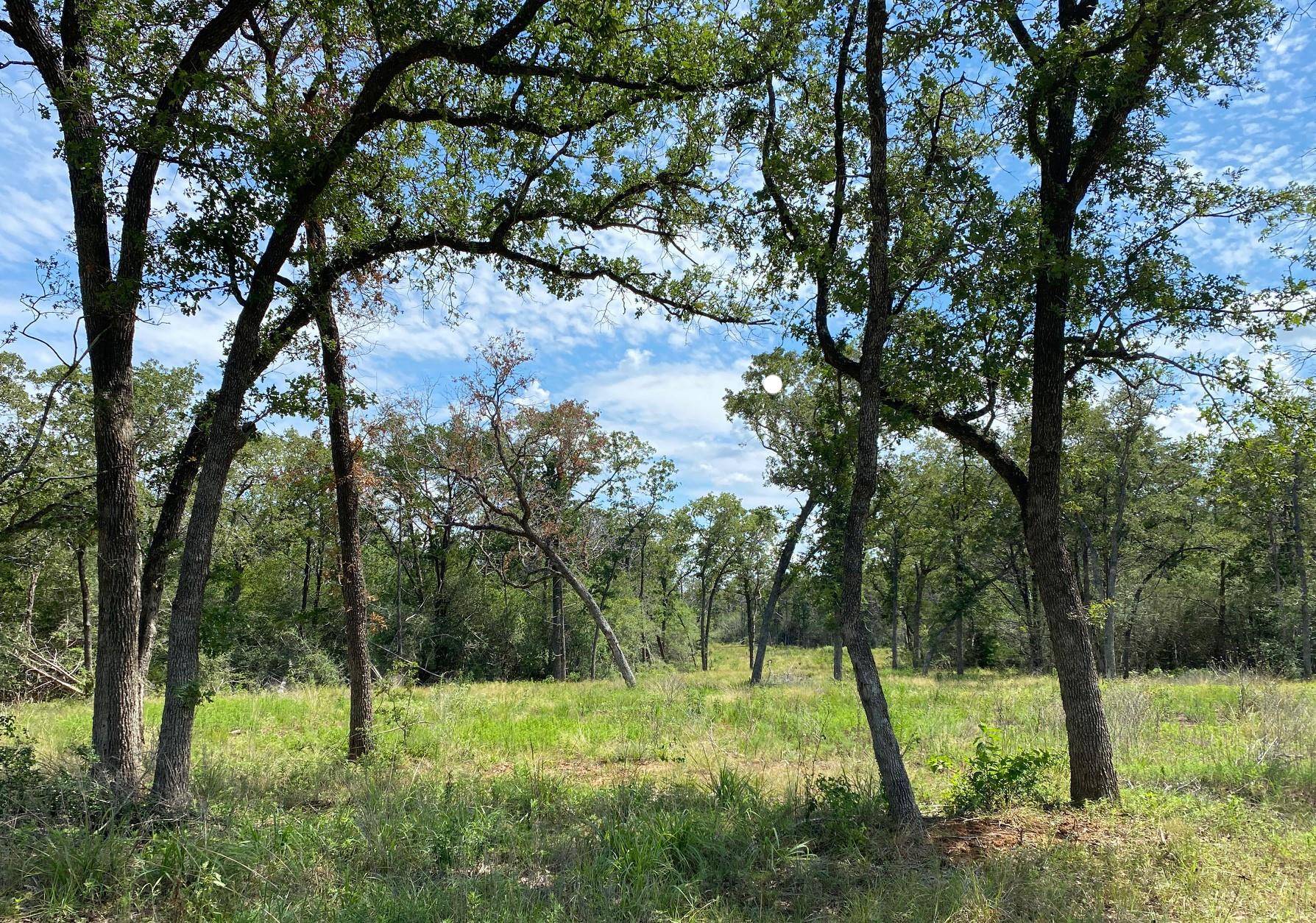 TBD High Crossing Rd - TRACT 8, Smithville, TX 78957
