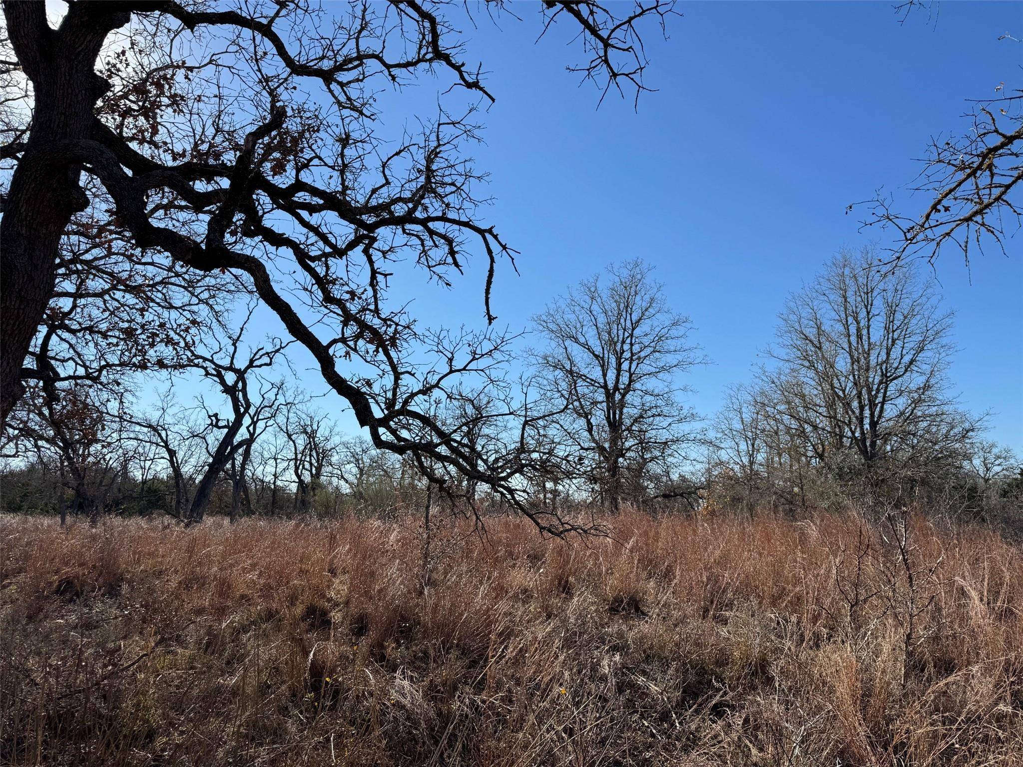 TBD Marjess DR, Cedar Creek, TX 78612
