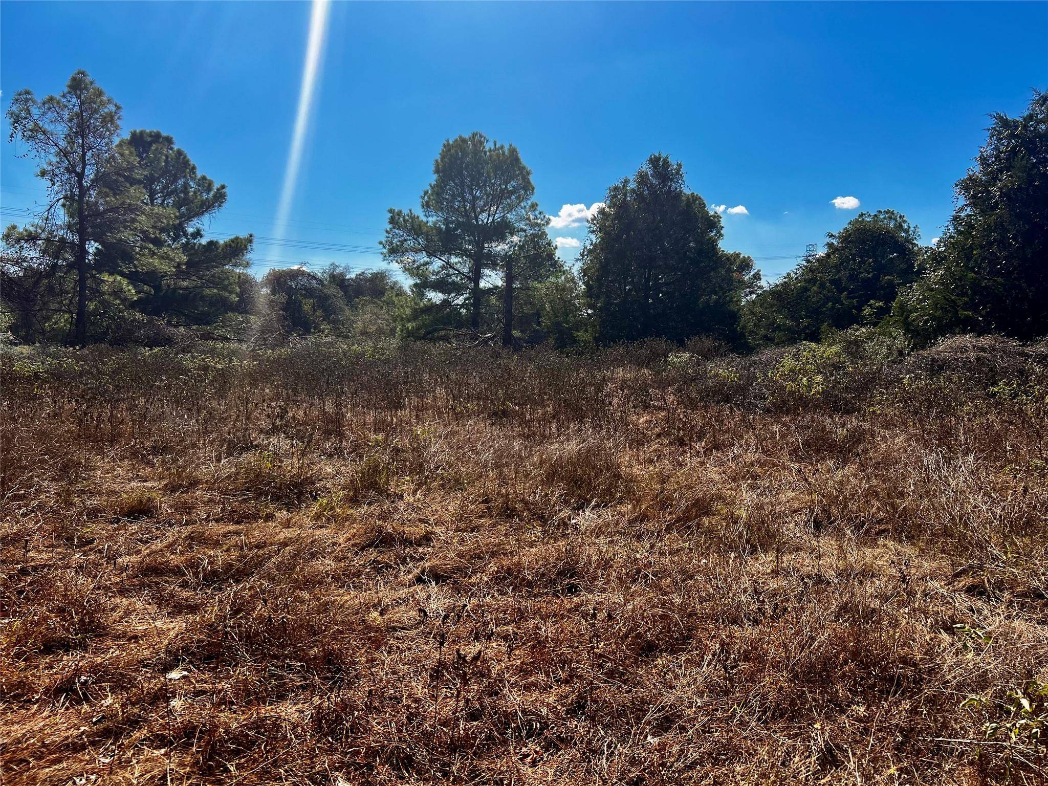 411 Laura LN, Bastrop, TX 78602