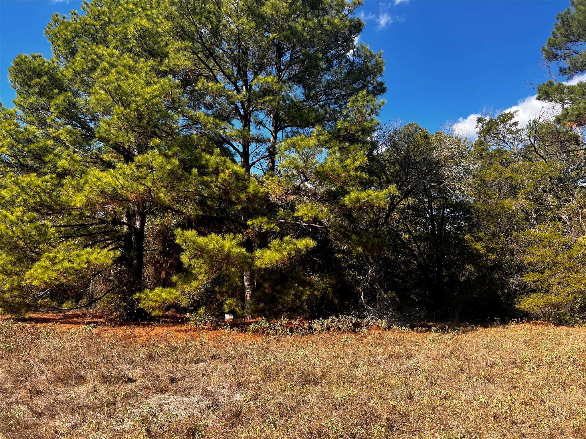 411 Laura LN, Bastrop, TX 78602