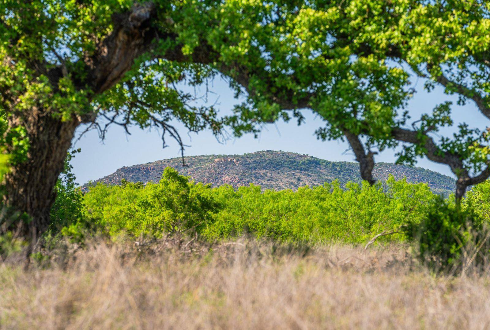 5230 County Road 409, Valley Spring, TX 76885