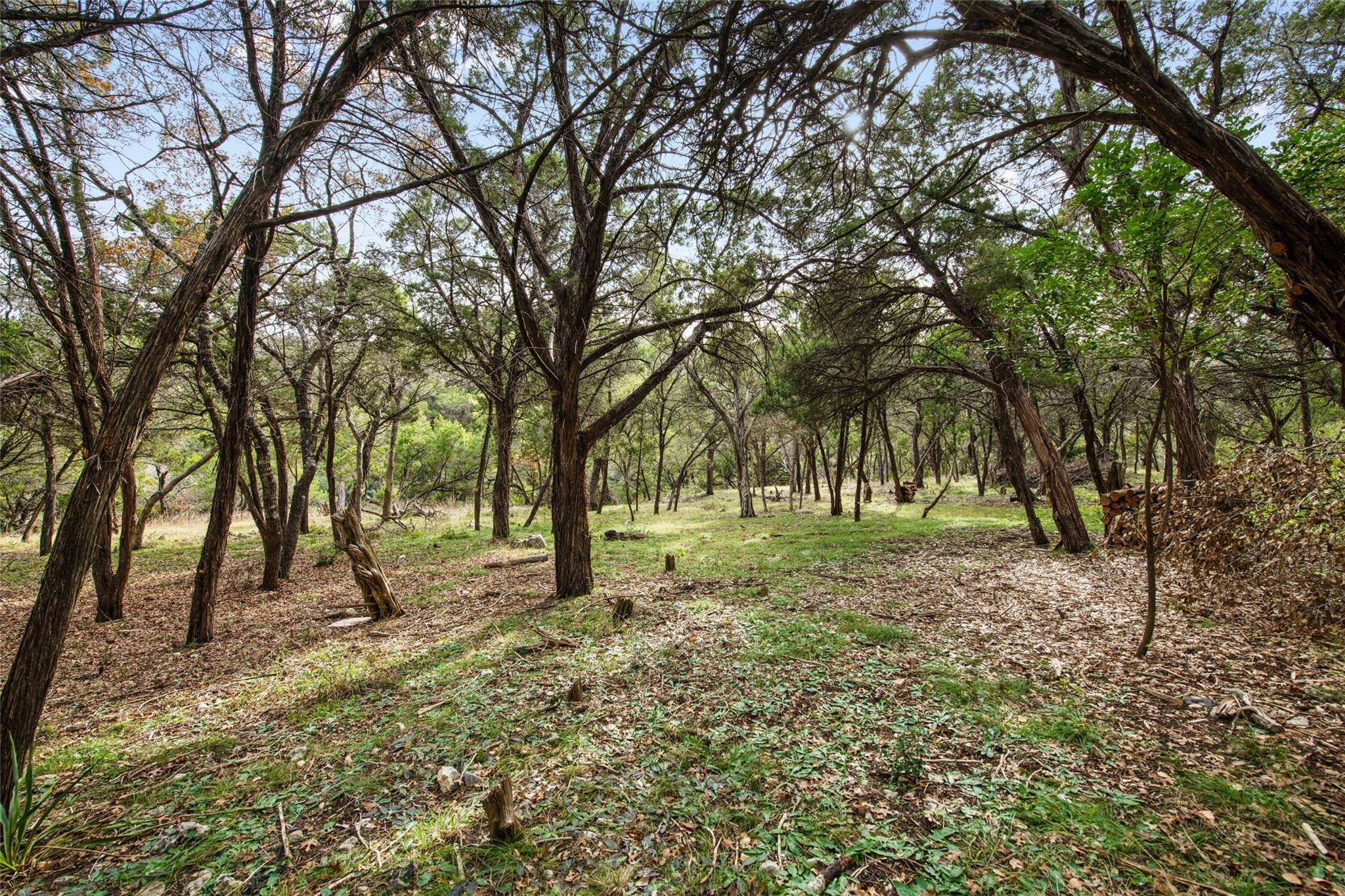 1453 Wild Basin Ledge ST, Austin, TX 78746