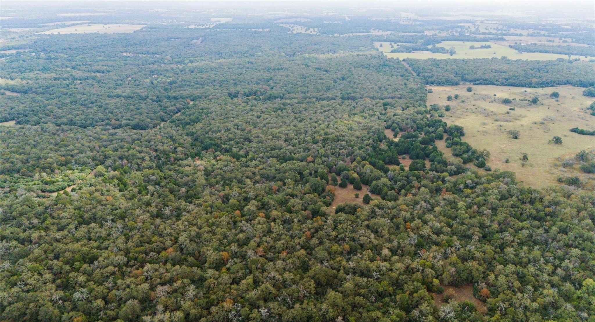 TBD County RD #415, Lexington, TX 78947