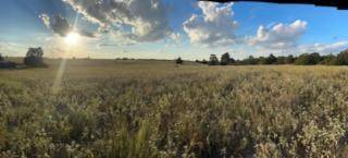 555 #C Paint Creek RD, Mcdade, TX 78650