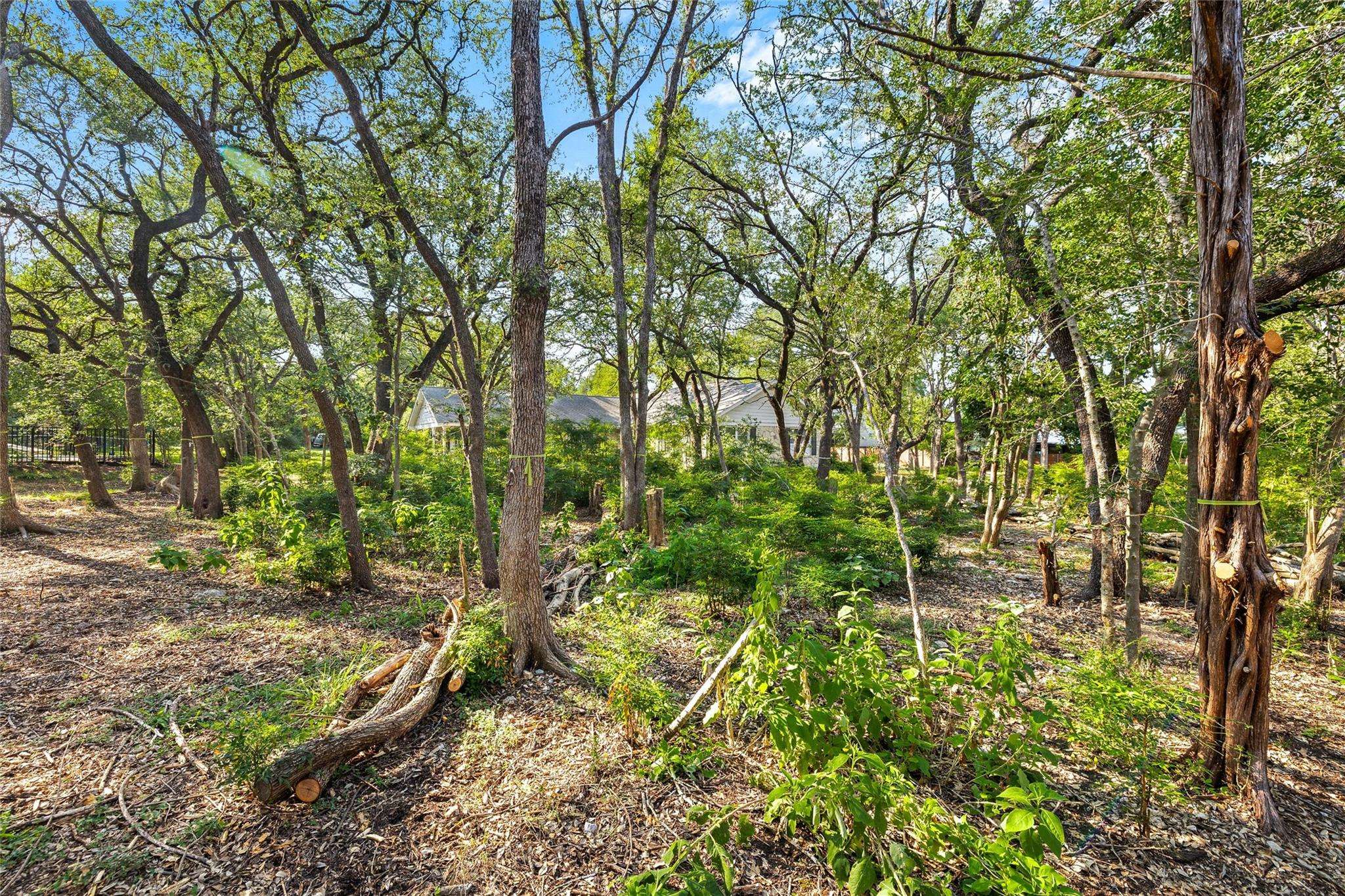 4101 Spicewood Springs RD, Austin, TX 78759