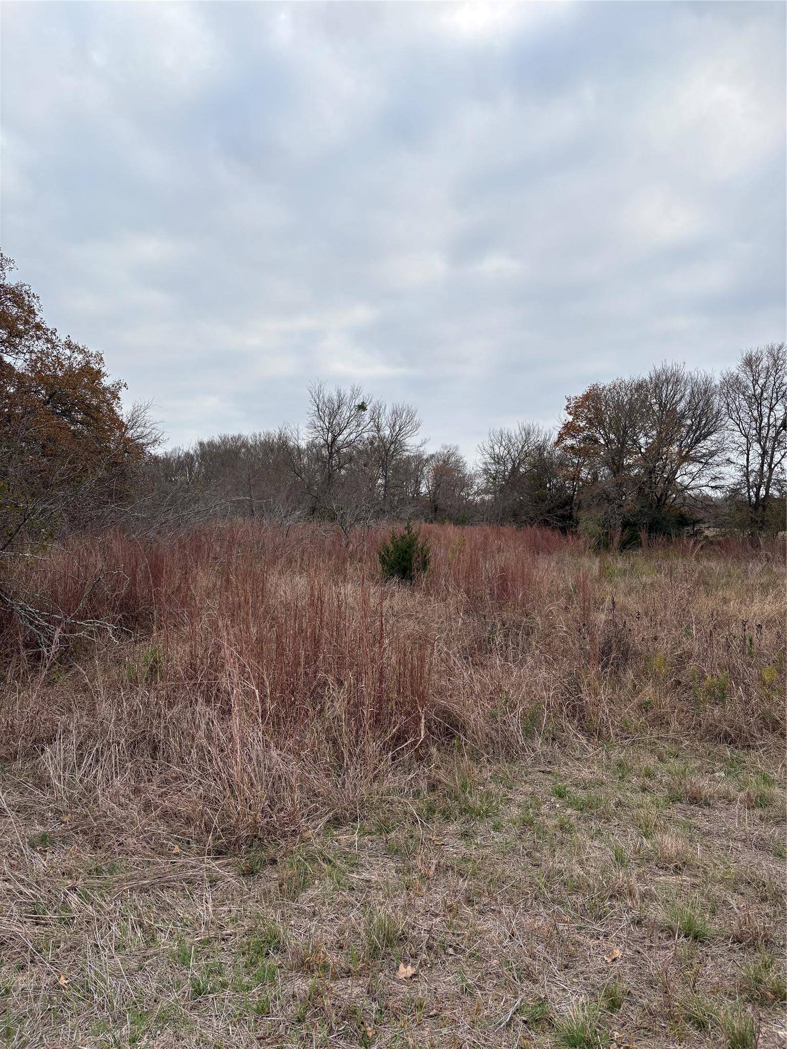 TBD James Craft Road James Craft RD, Somerville, TX 77879