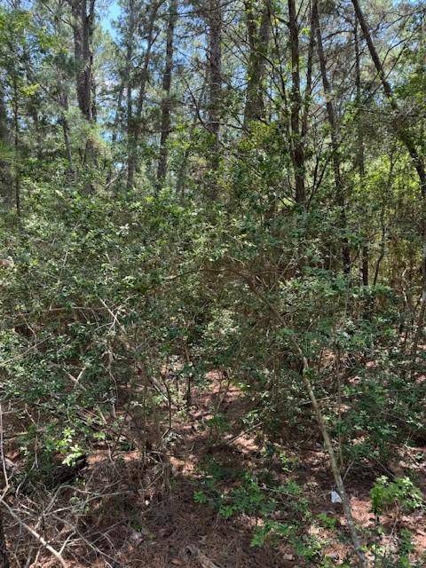 Lot 250 Hekili DR, Bastrop, TX 78602