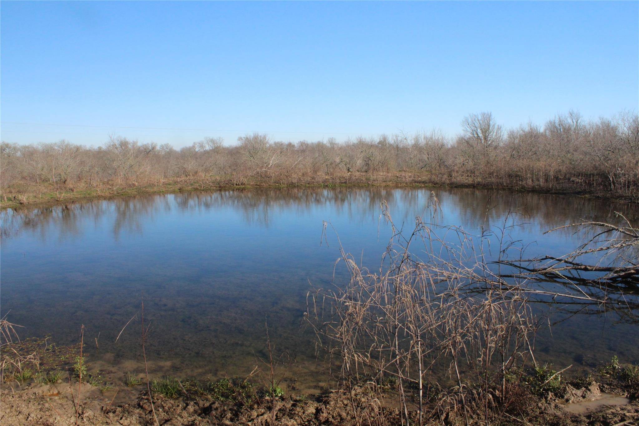 1223 County Road 429, Dime Box, TX 77853