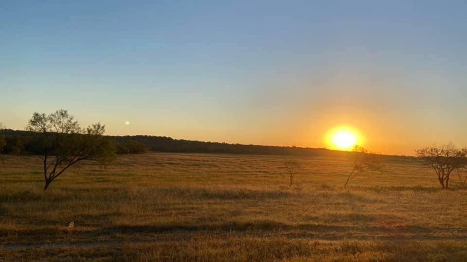 1915 Buffalo Creek DR, Evant, TX 76525
