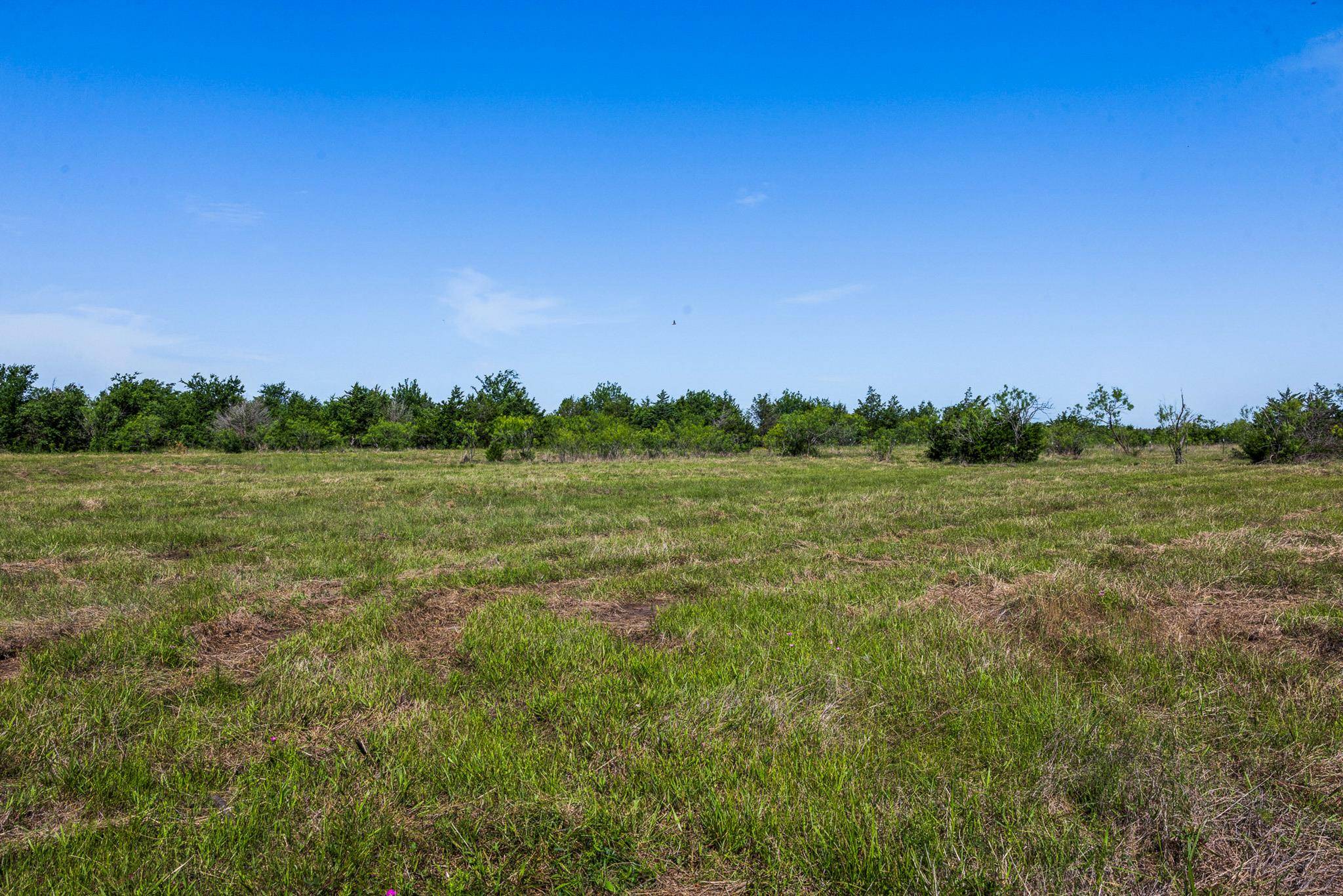 Tract 2 TBD LCR 392, Groesbeck, TX 76642