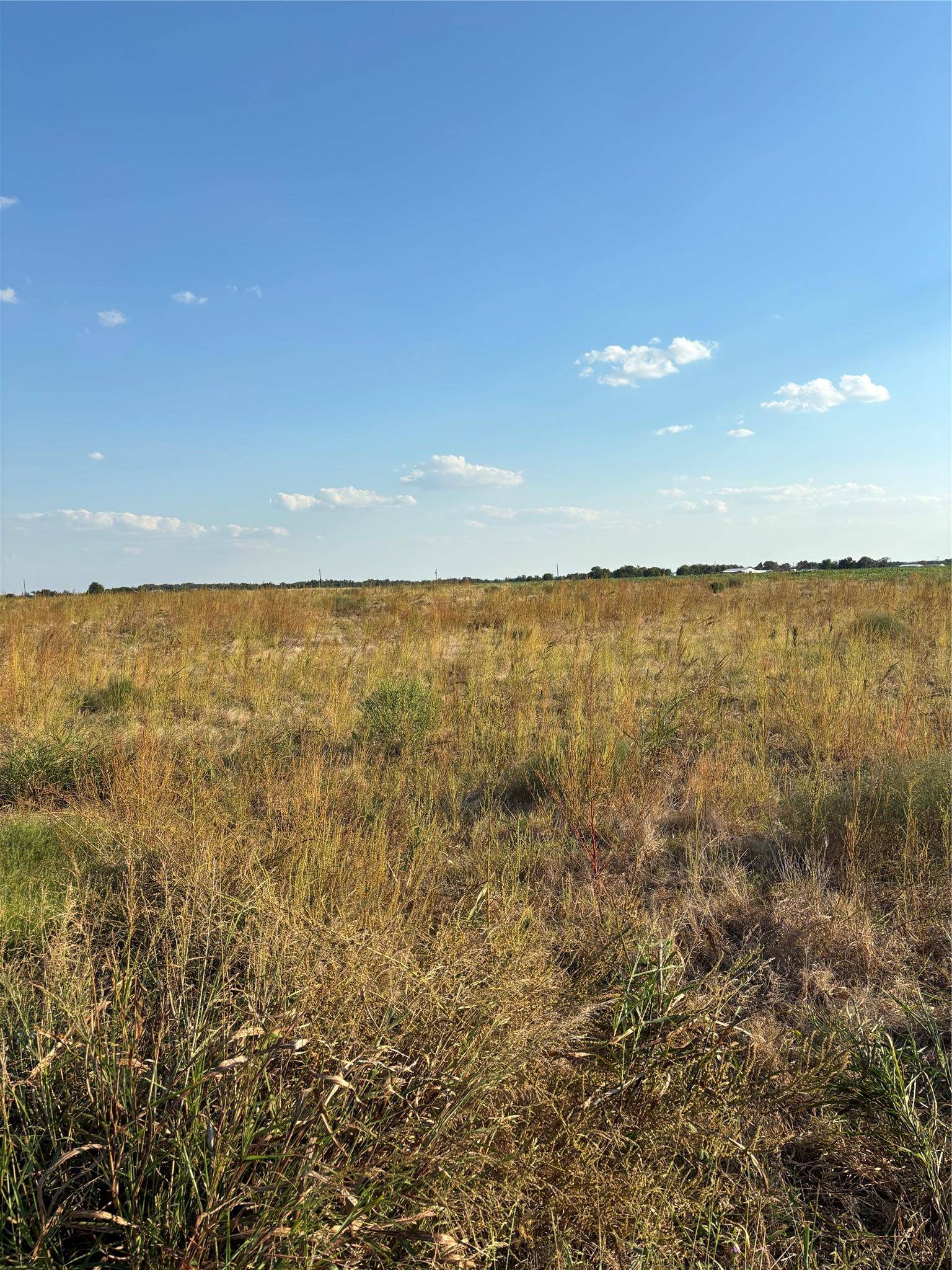 305 County Rd 134, Burlington, TX 76519
