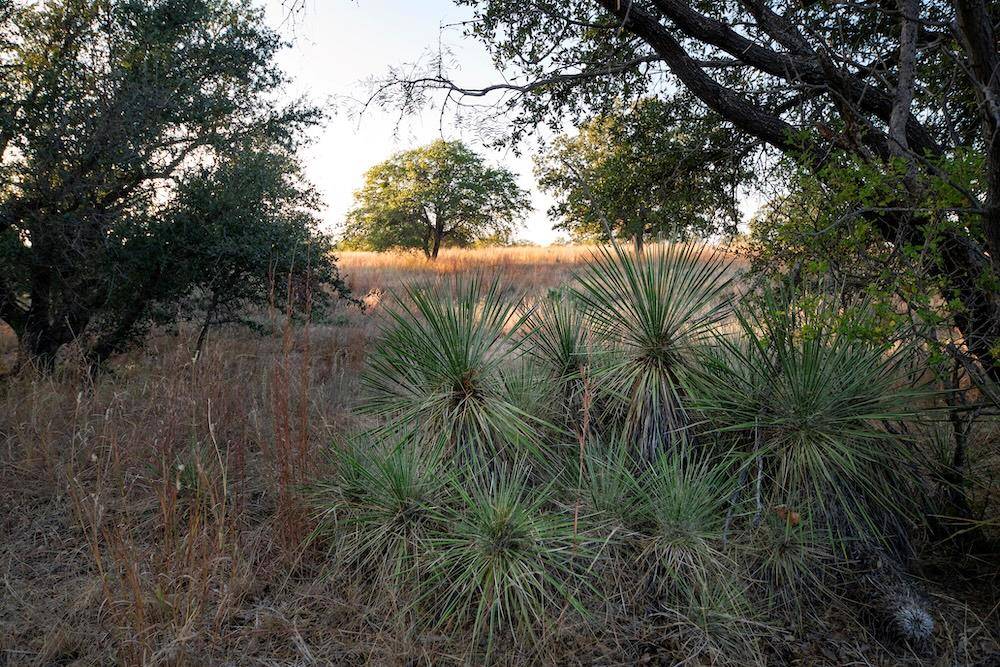 Address not disclosed, Mason, TX 76842