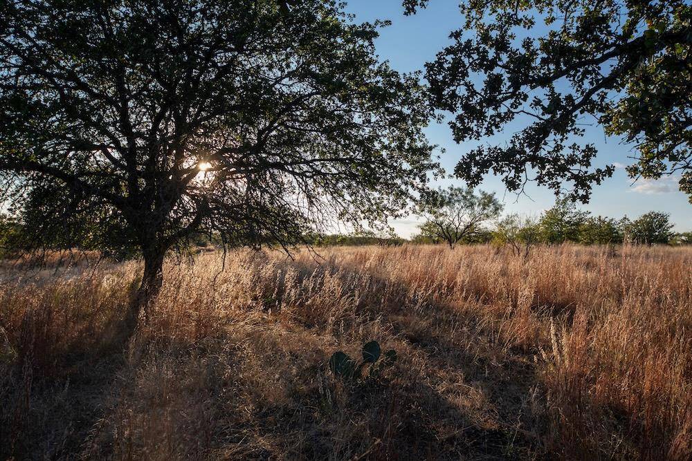 Address not disclosed, Mason, TX 76842