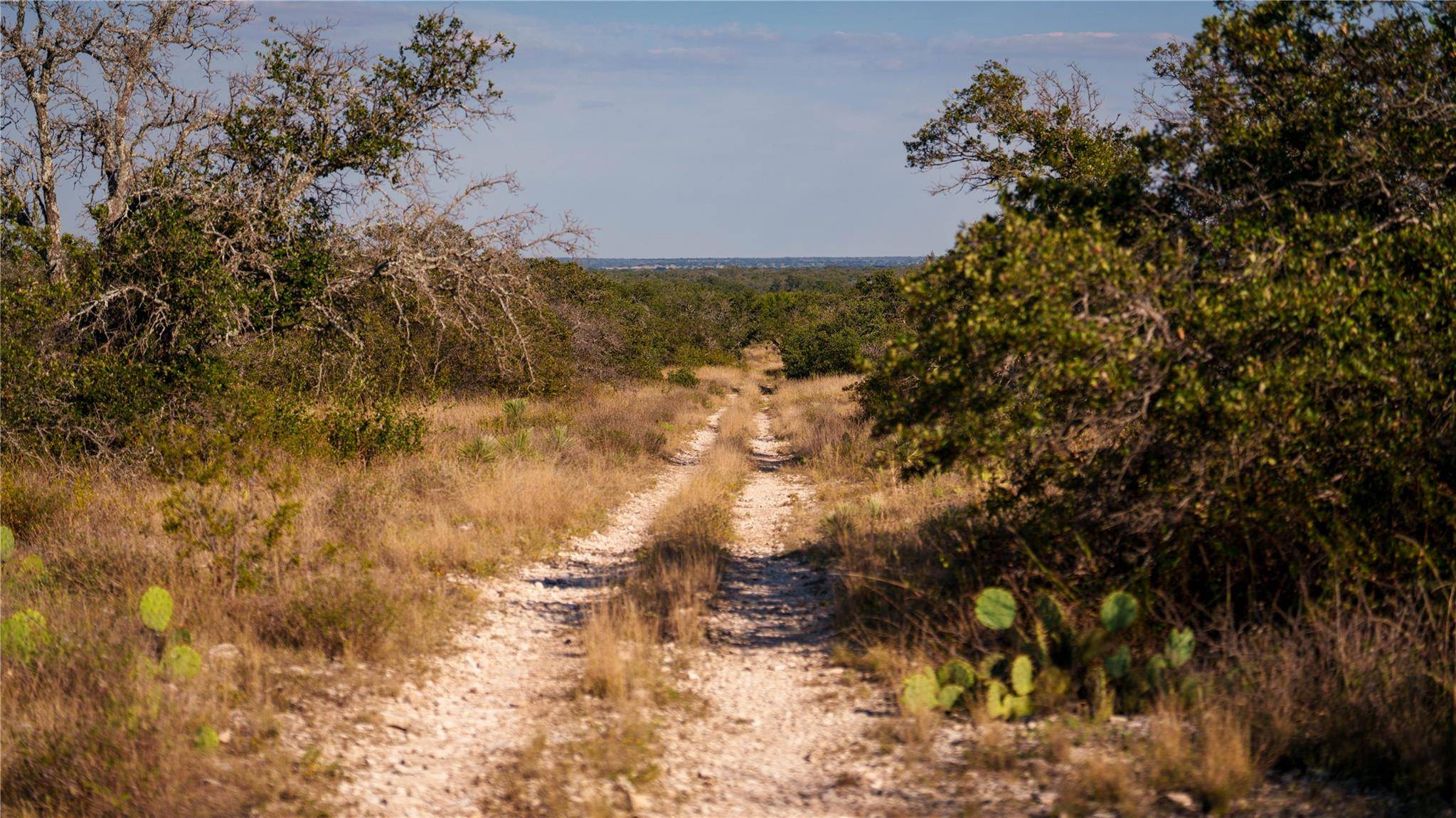 8500 Buck Ridge DR, Brady, TX 76858