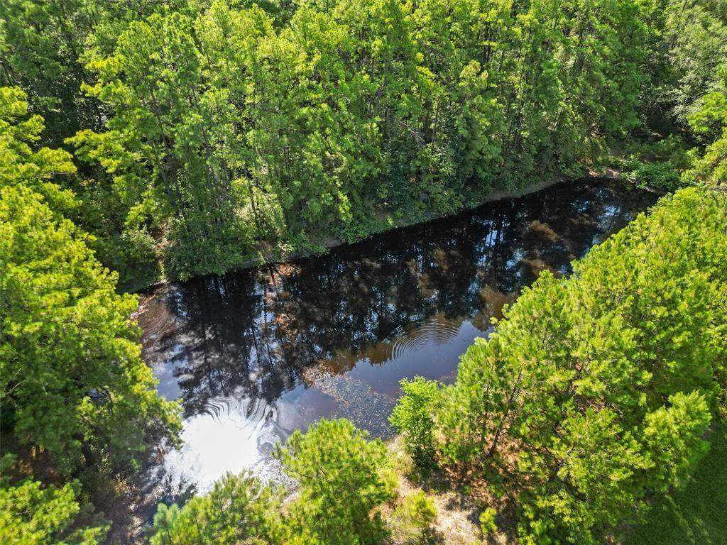 00 Forest Service Road 201, Coldspring, TX 77328
