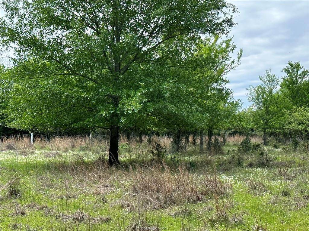 00 Hickory Loop RD, Thornton, TX 76687