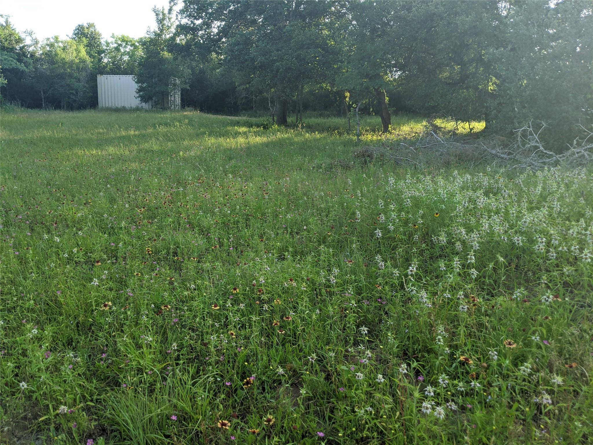 272 Deadwood RD, Cedar Creek, TX 78621